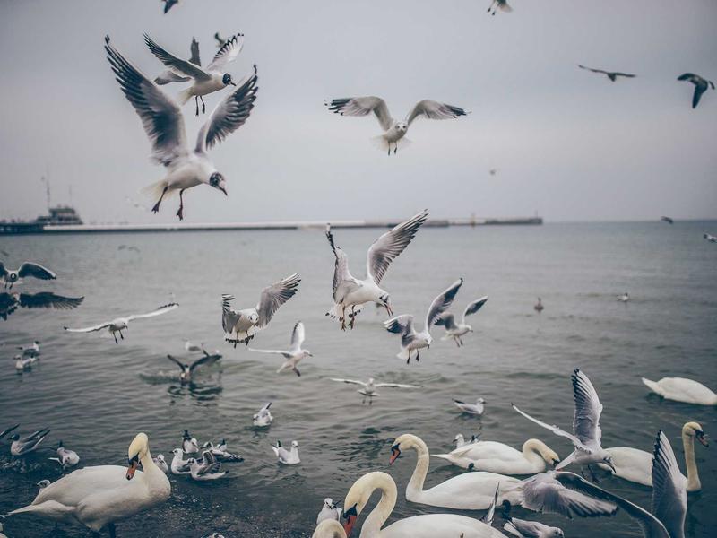 sudoku perfect score screenshot 1