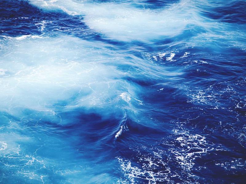 sudoku perfect score screenshot 6